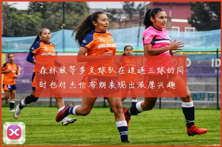 森林狼等多支球队在追逐三球的同时也对杰伦布朗表现出浓厚兴趣
